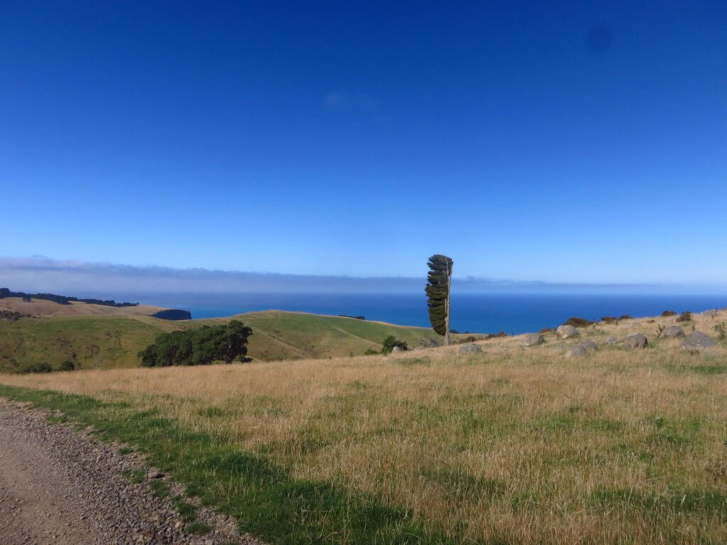 Akaroa 