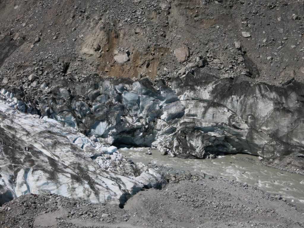 Gletscher - Fox Glacier 
