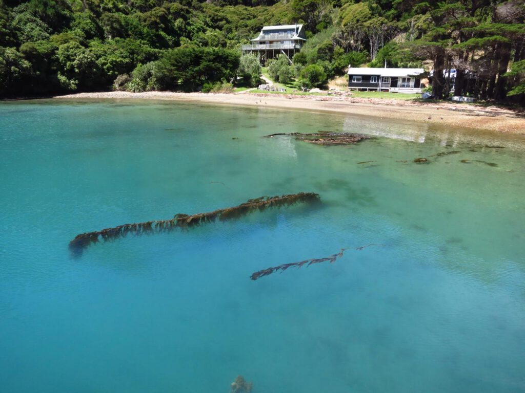 In den Marlborough Sounds