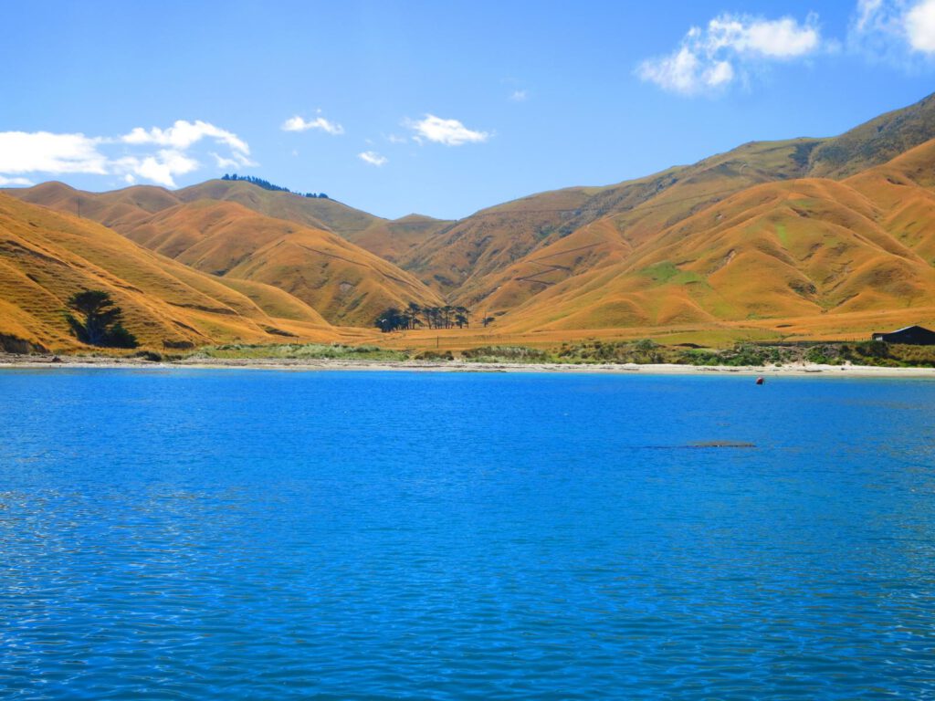 Auf dem Postschiff durch die Marlborough Sounds 