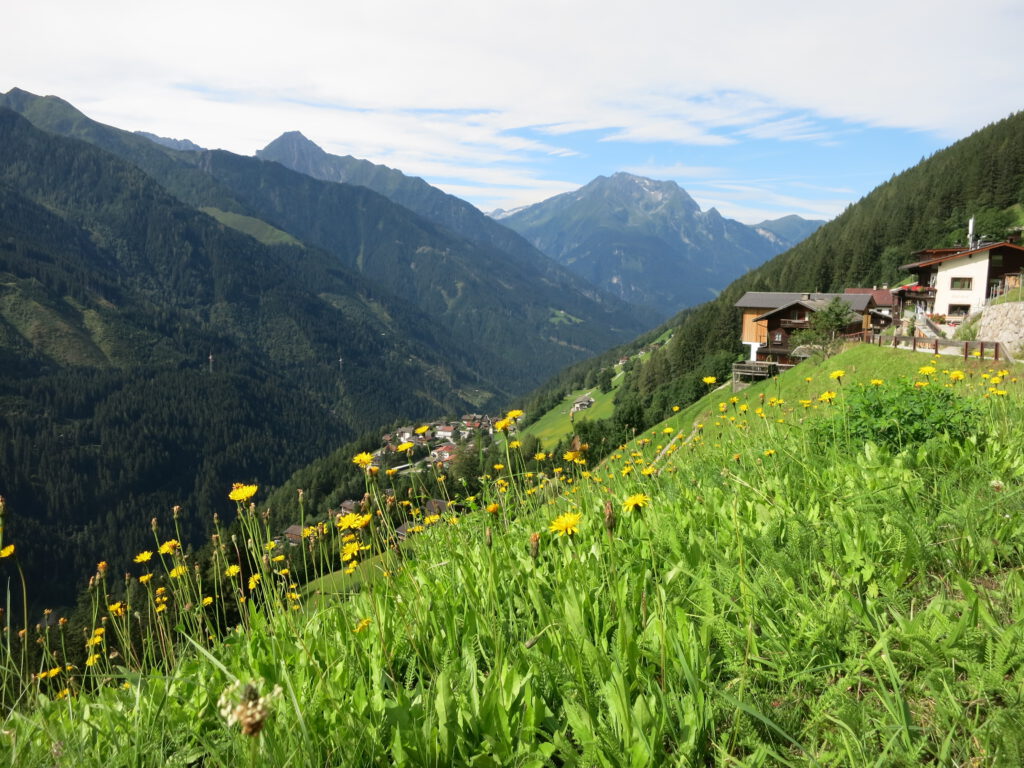 Auf dem Bergmähderweg Nähe Brandberg / Zillertal