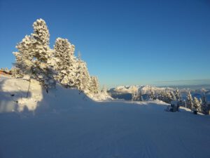 20150101_083725