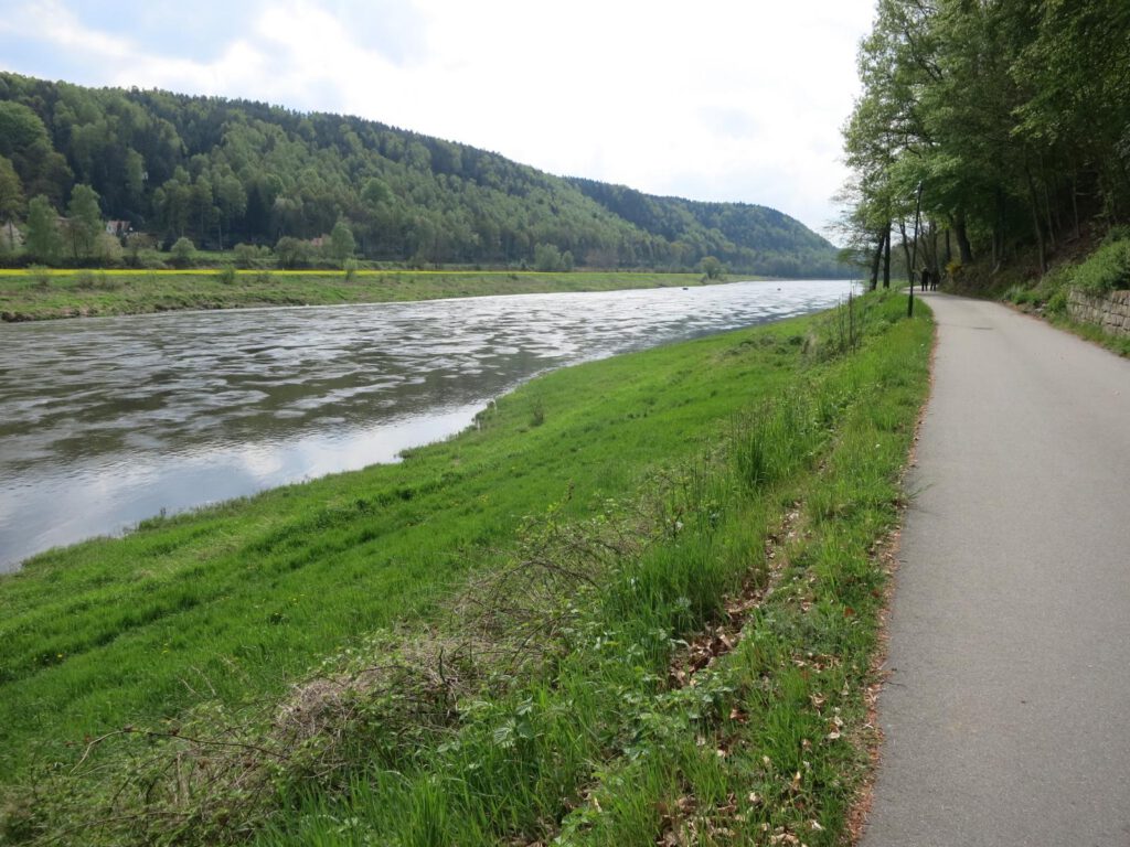 Elberadweg zwischen Rathen und Wehlen