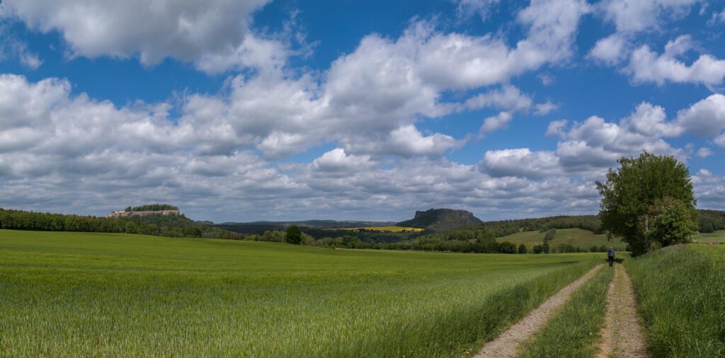 Auf dem Weg zum Pfaffenstein 