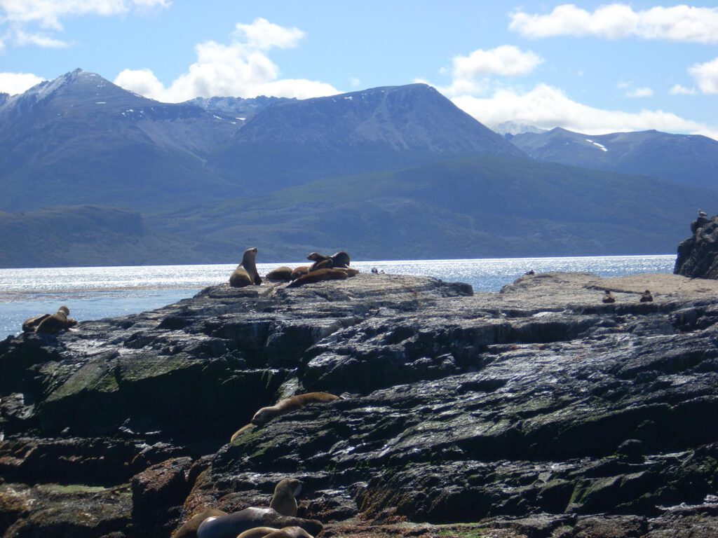 Beagel Kanal Ushuaia 