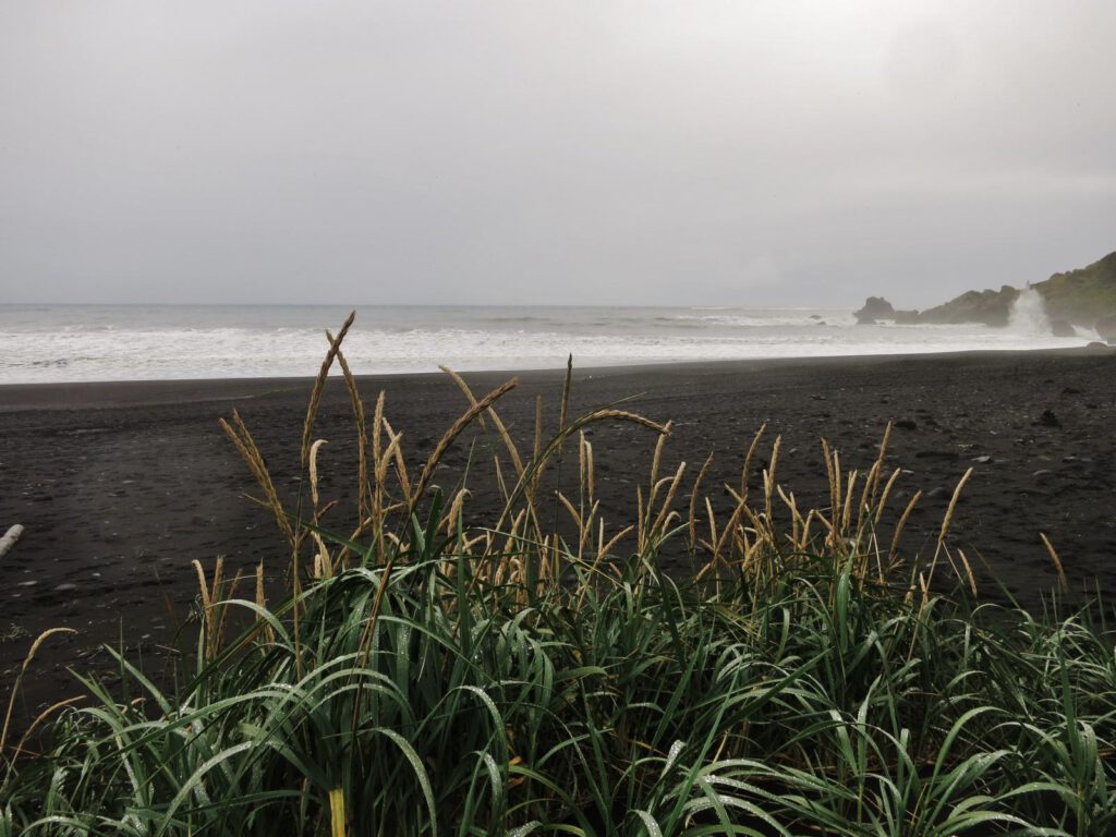 Am schwarzen Strand von Vik 