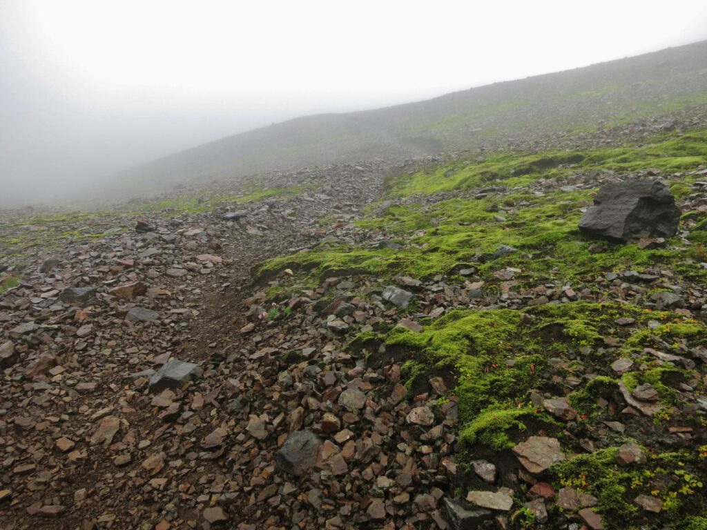 Sturm, Regen, Nebel ... auf dem Foto sieht alles gar nicht so schlimm aus .... 