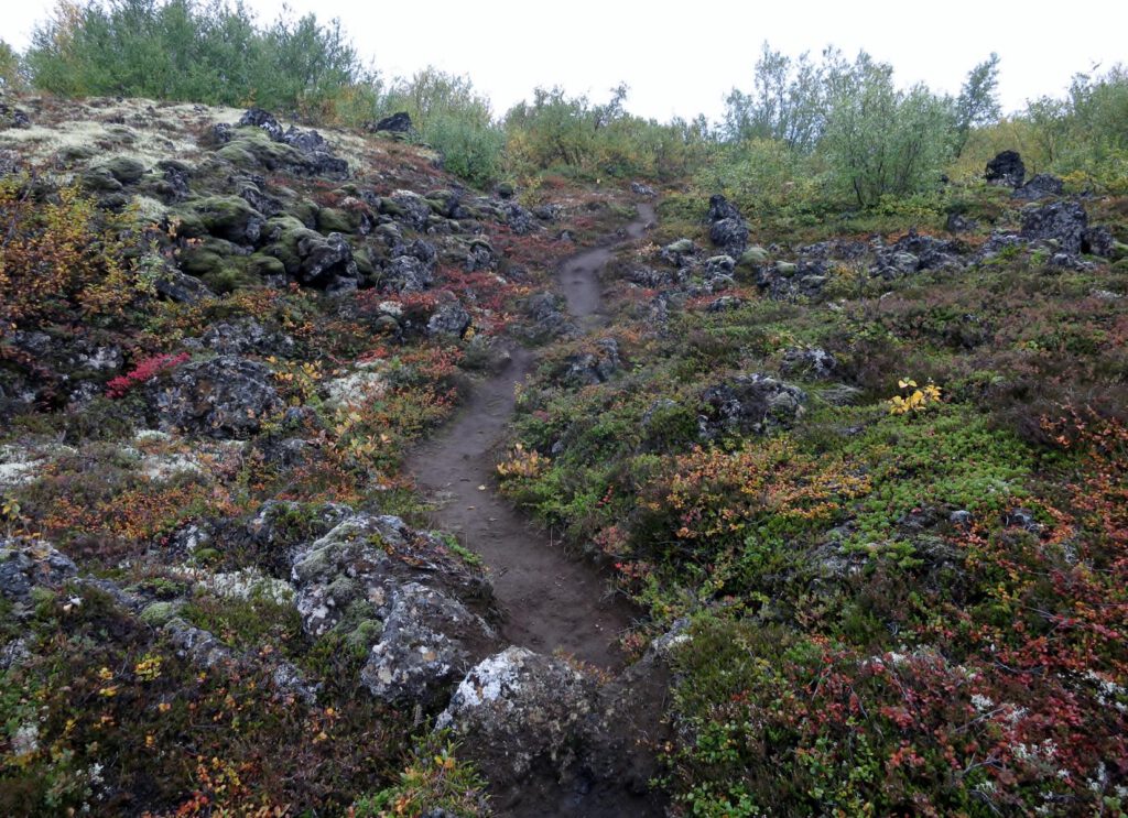 Wanderung zur Heißwasserspalte 