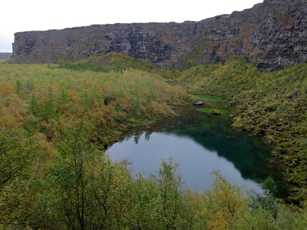 Die Felswand der Asbyrgi-Schlucht