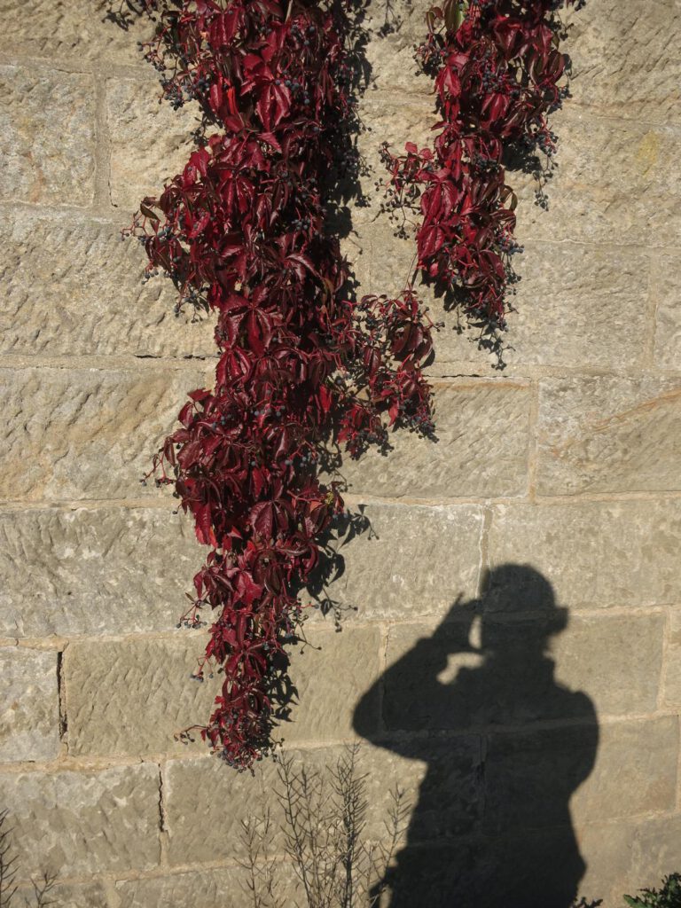 Herbst in Hohnstein 