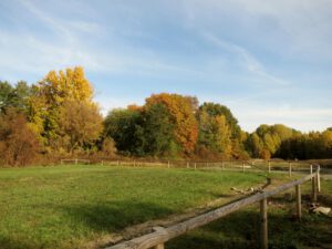 Auf dem Weg zum Wuhletalradweg - hier Wuhlheide 