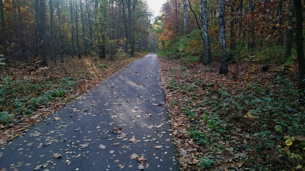 Europaradweg 1 zwischen Köpenick und Müggelheim 