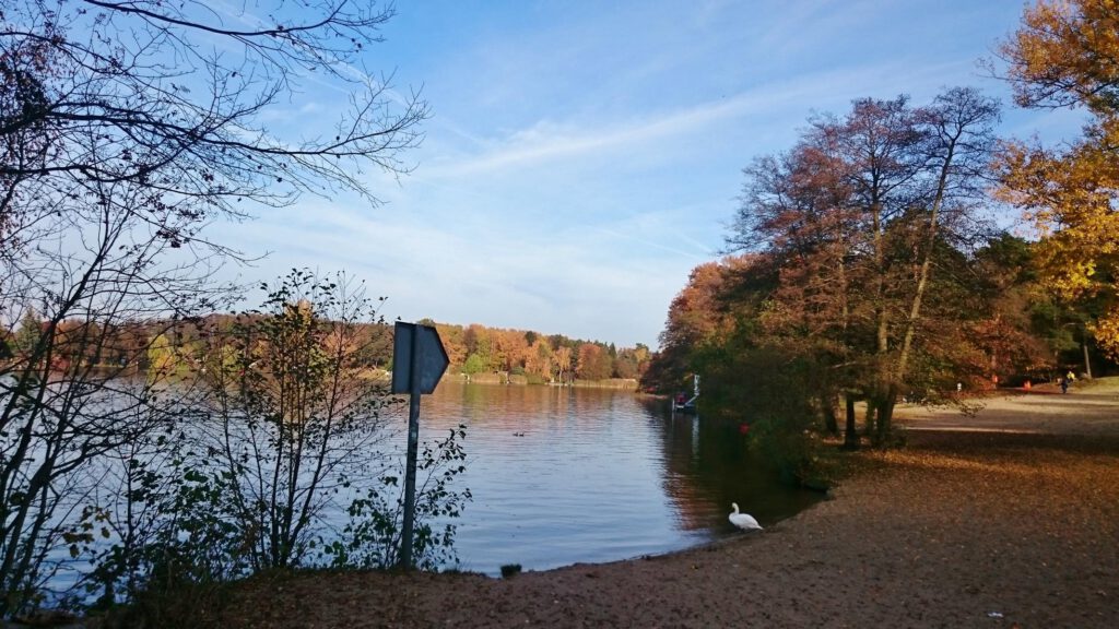 Der Kleine Müggelsee 