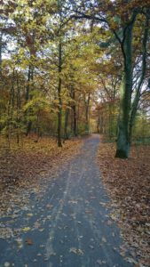 Europaradweg 1 - hier am Müggelsee 