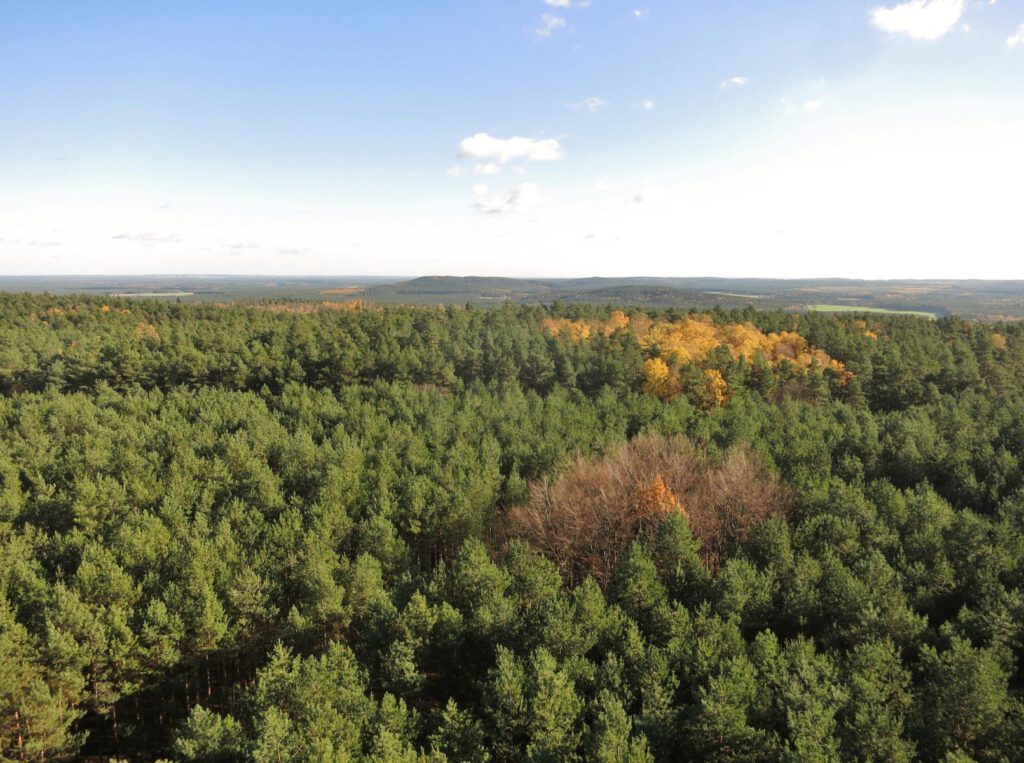 Blick vom Aussichtsturm Rauen 