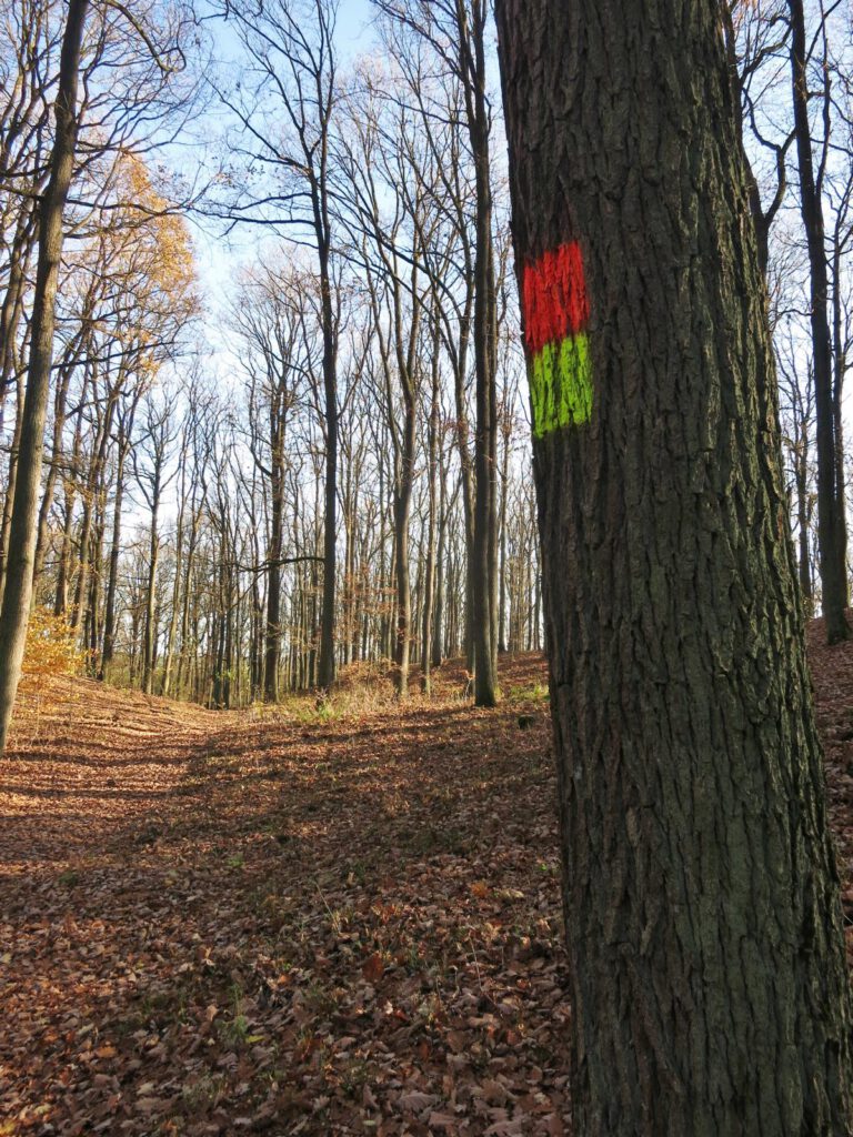 Wegmarkierung zurück nach Bad Saarow