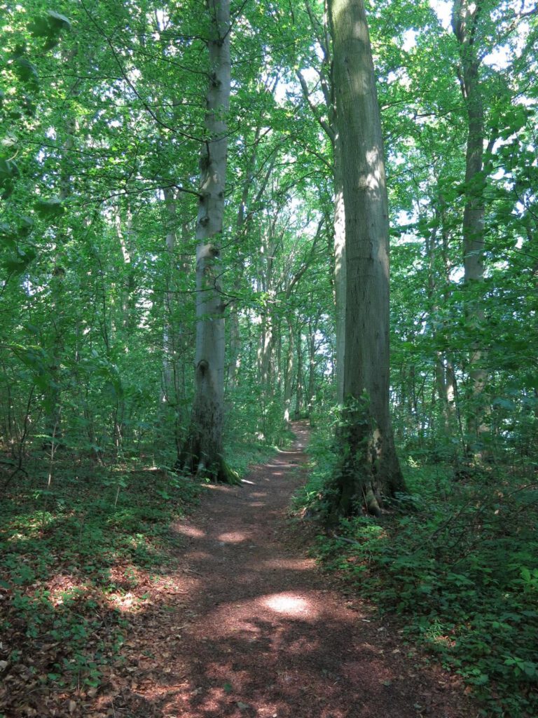 Auf dem Hochuferweg Richtung Binz