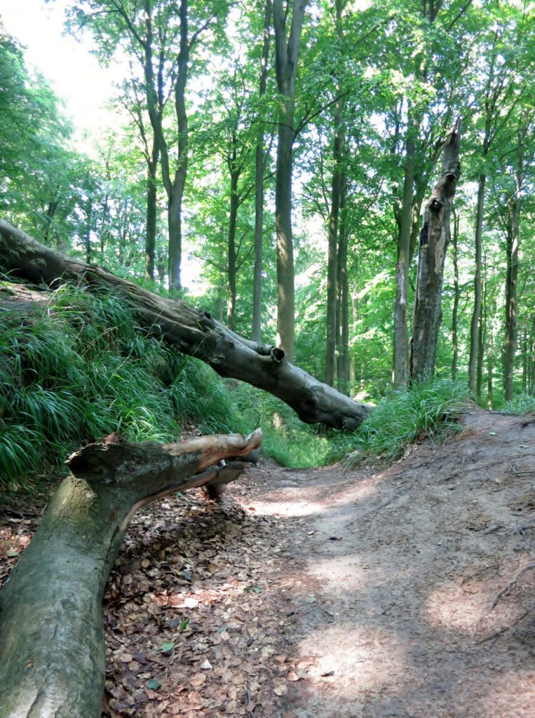 Weg mit Hindernissen