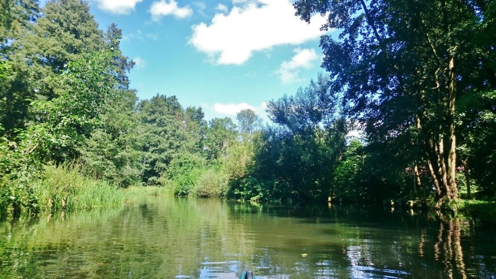 im Spreewald paddeln