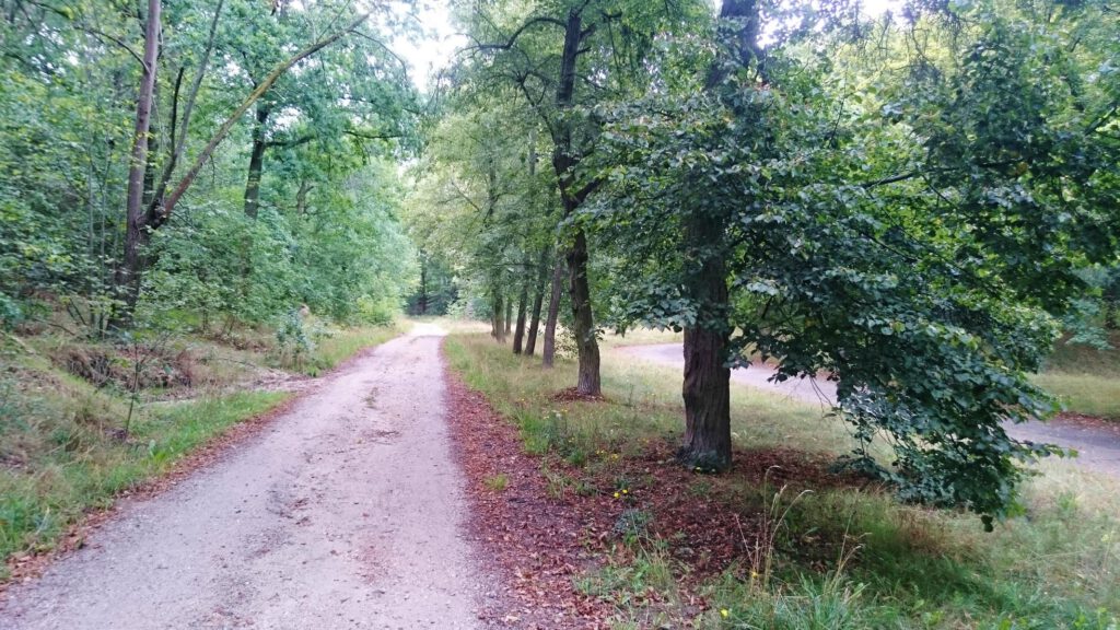 Wanderung Glauer Berge 