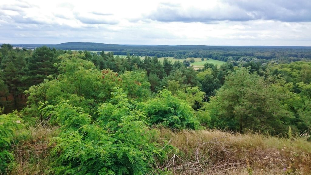 Aussicht vom Kesselberg 