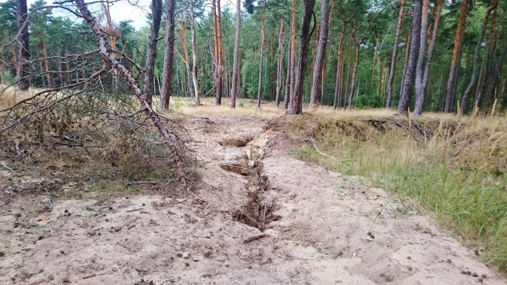 Wanderung Glauer Berge - tiefer Geländeeinschnitt