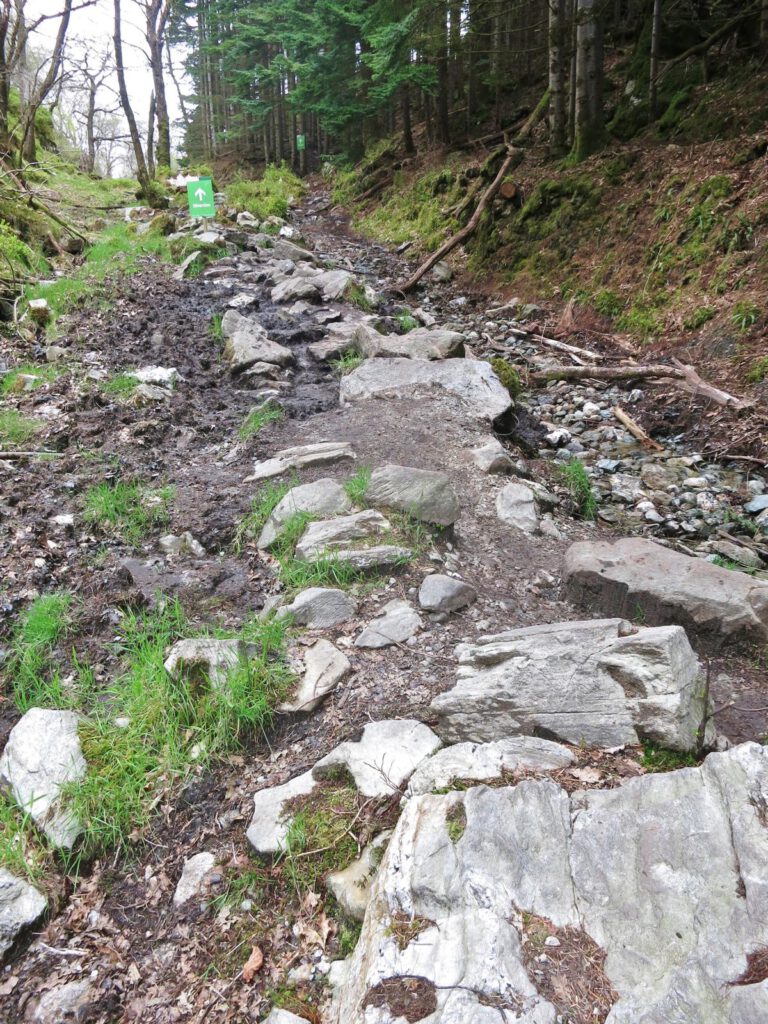 Holla die Waldfee .... das soll eine blaue (leichte) Wanderung sein? 