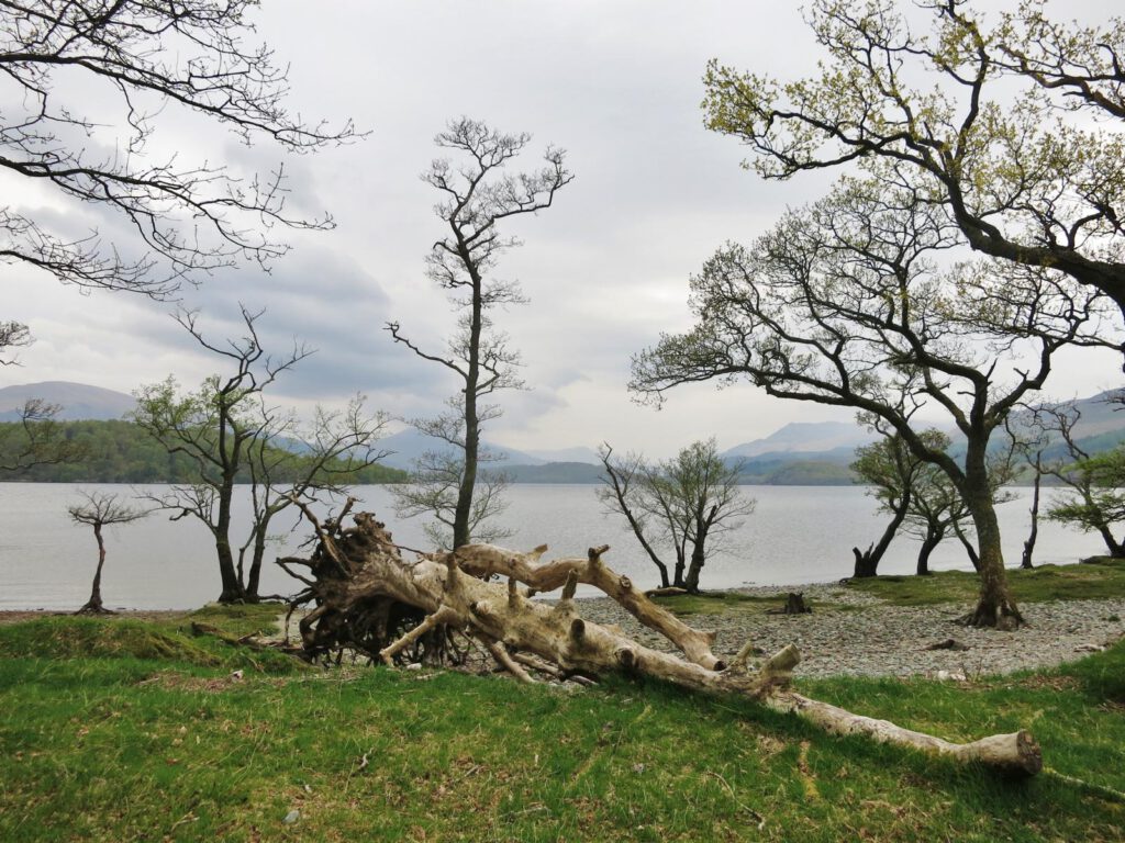 Am Loch Lomond