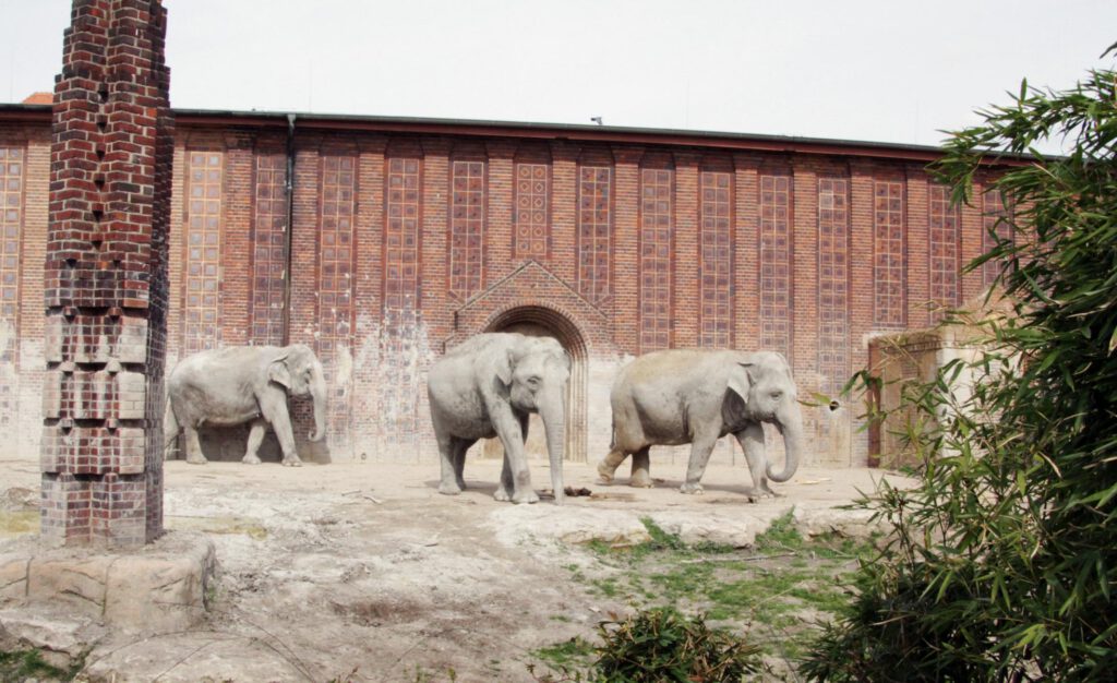 Elefanten (© Zoo Leipzig)