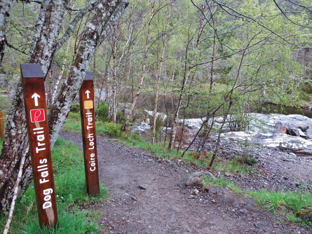 Wanderweg Dog Falls / Glen Affric 