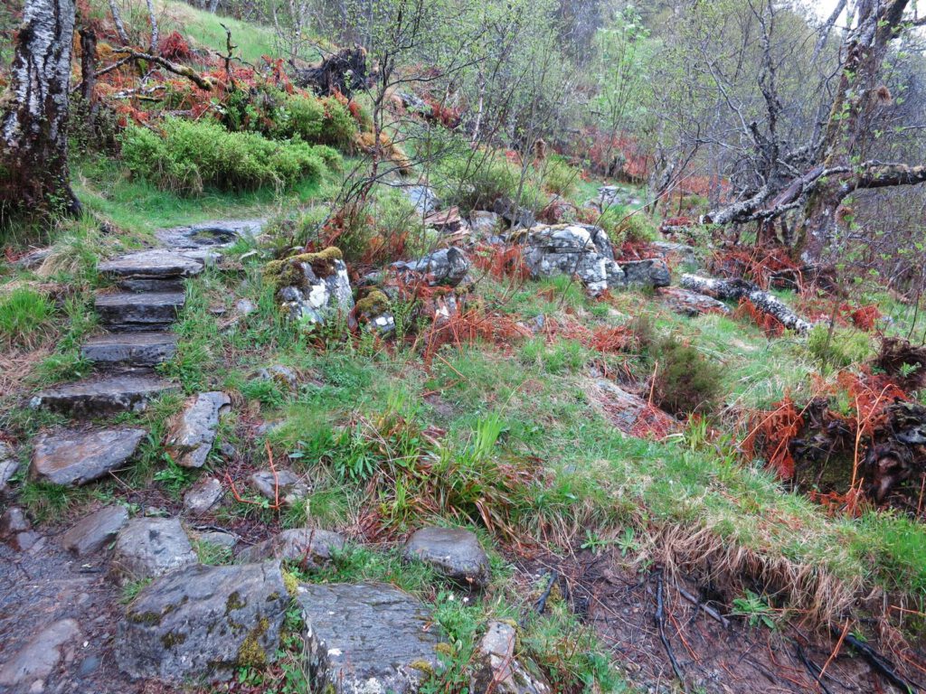 Glen Affric 