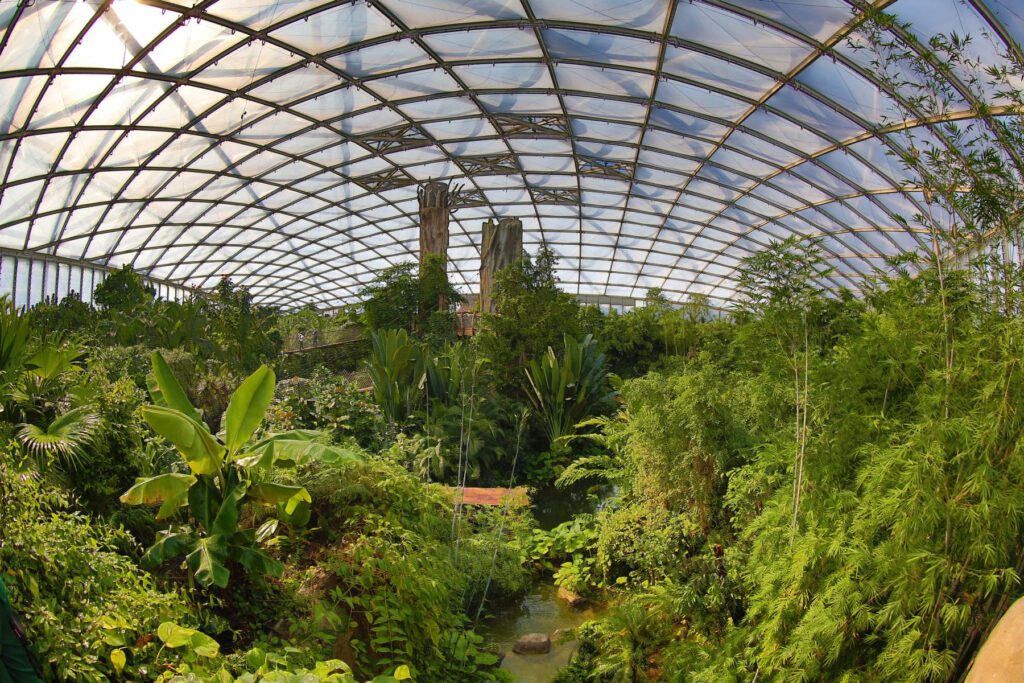 Zoo Leipzig (© Zoo Leipzig)