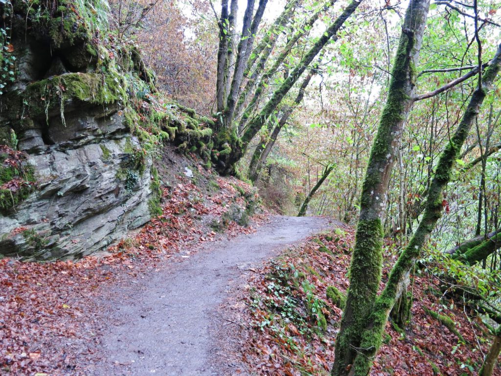 Auf dem Weg zur Burg Eltz