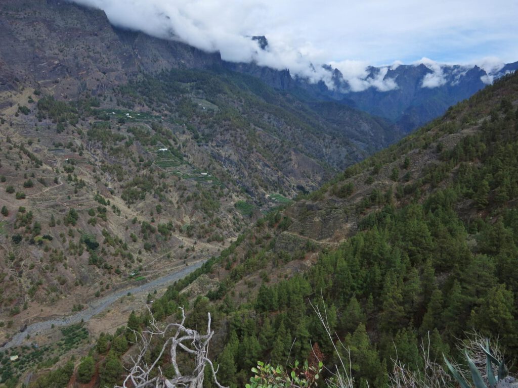 Mirador del Cancelita