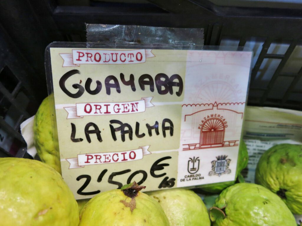 Guayaba