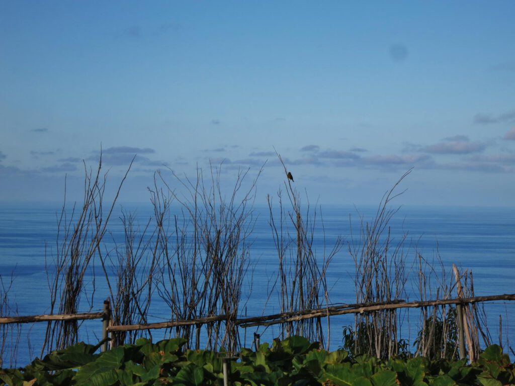 abendlicher Blick zum Meer - Gallegos 