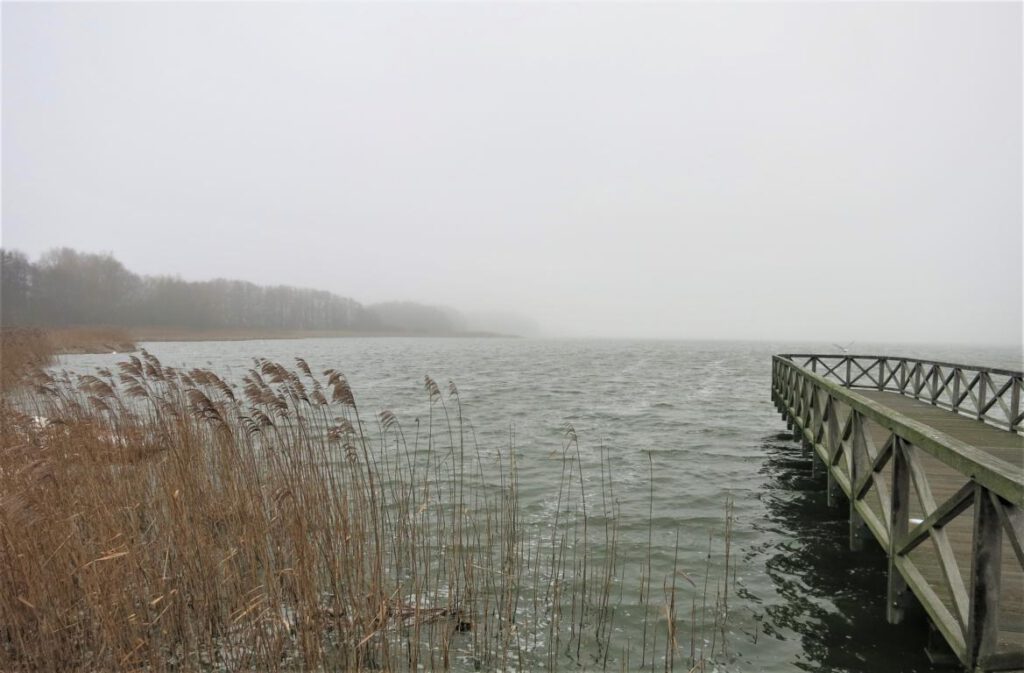 dicht - am Schmachter See