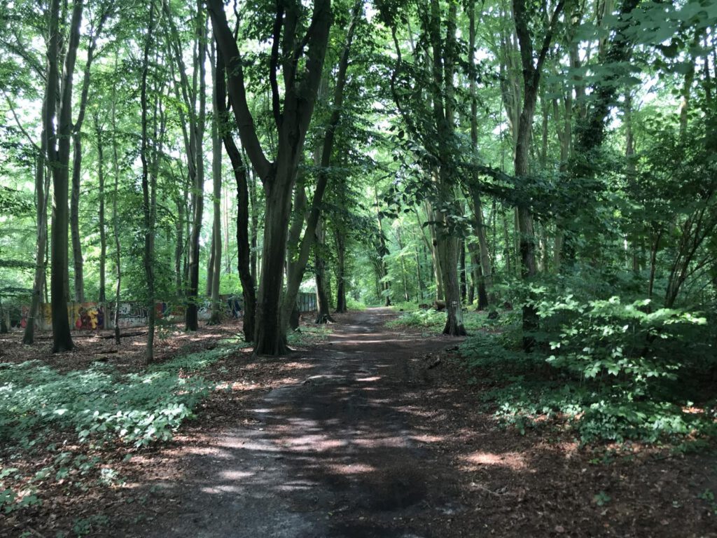 Wanderweg Katharinenholz