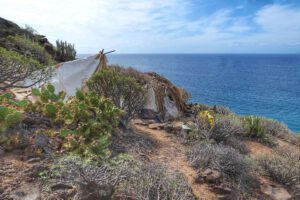 Hippies an der Costa Adeje