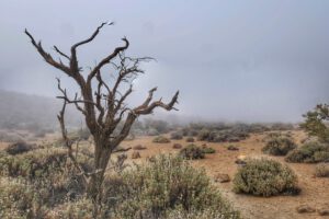 Teide Nationalpark 