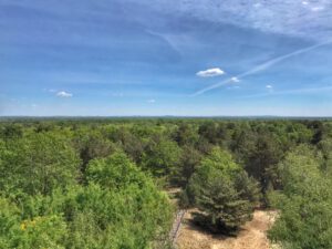 Aussichtsturm Finkenberg Döberitzer Heide