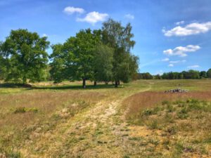 Sielmanns Naturlandschaft