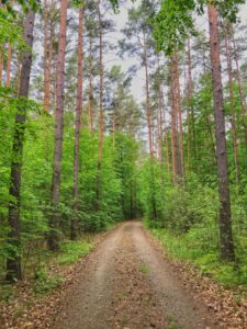 Rundwanderweg Buchenhain Schlepzig