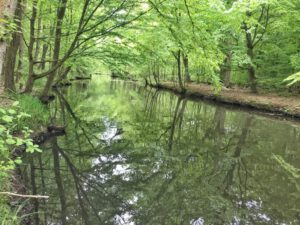 Spreewaldfließ bei Schlepzig