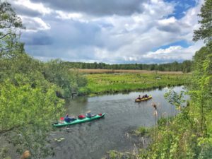 Vogelbeobachtungsturm am Wussegk