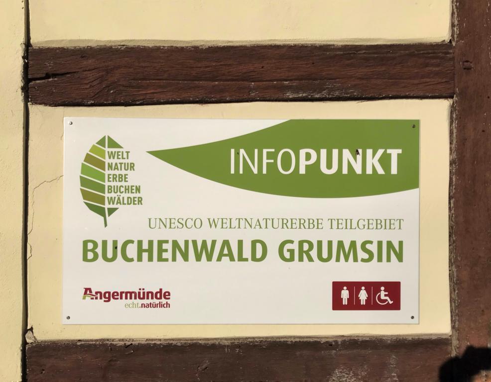 Buchenwald Grumsin / Infopunkt Altkünkendorf