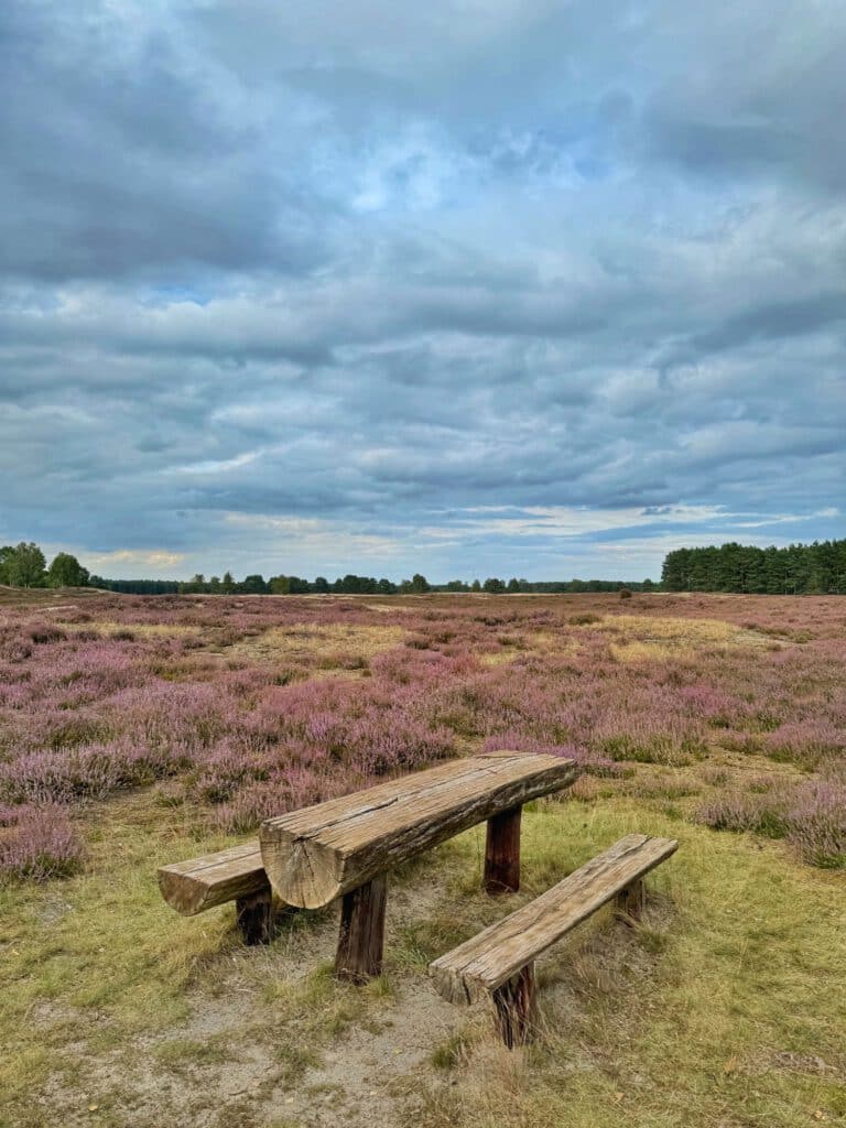Nemitzer Heide