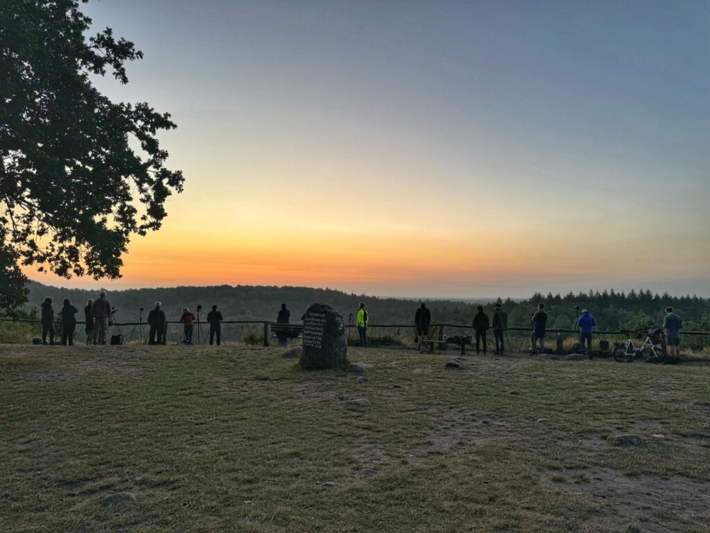 die schönsten Fotospots der Lüneburger Heide