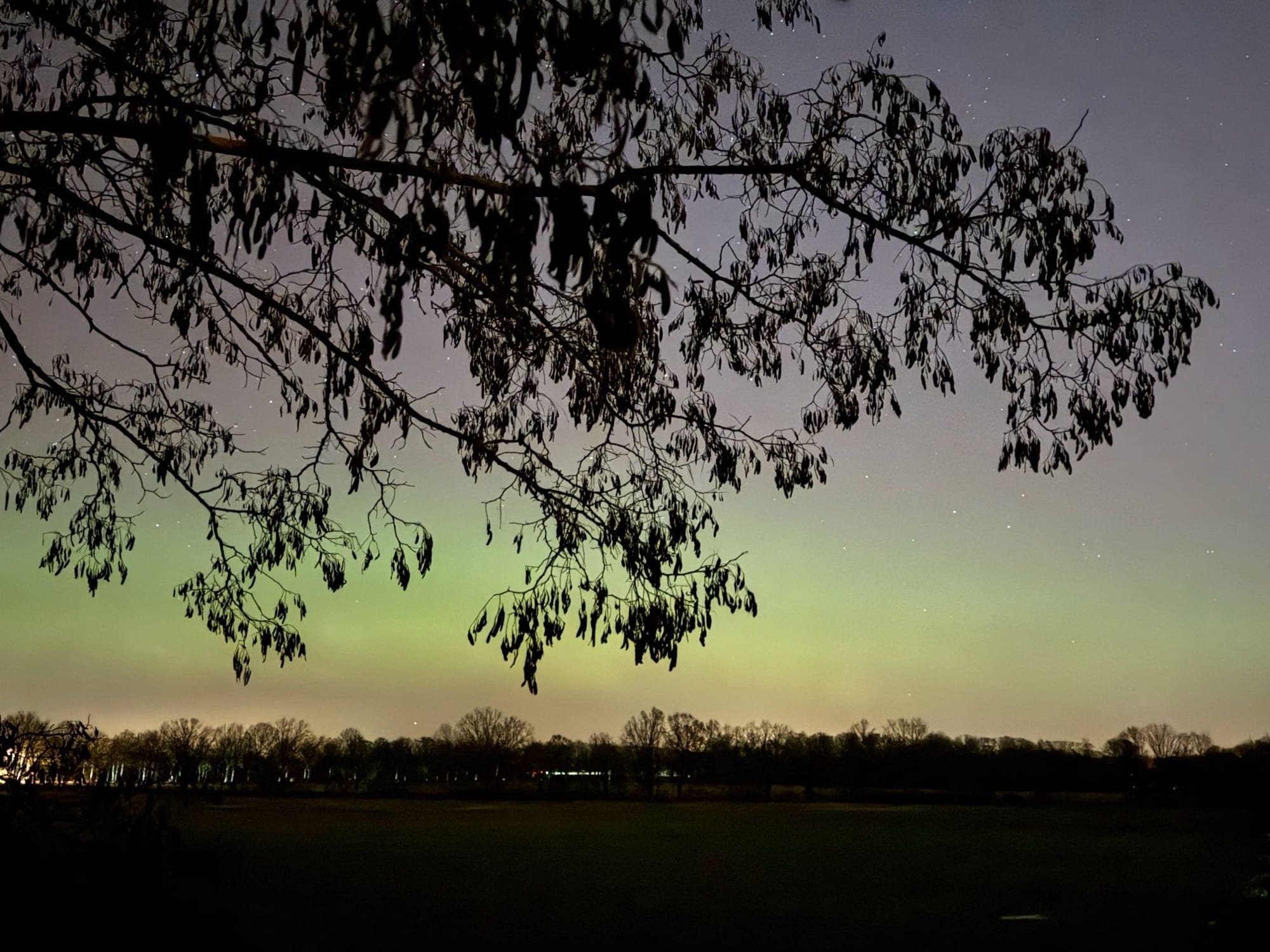 Polarlicht über Potsdam / 22:17 Uhr / 20.01.26