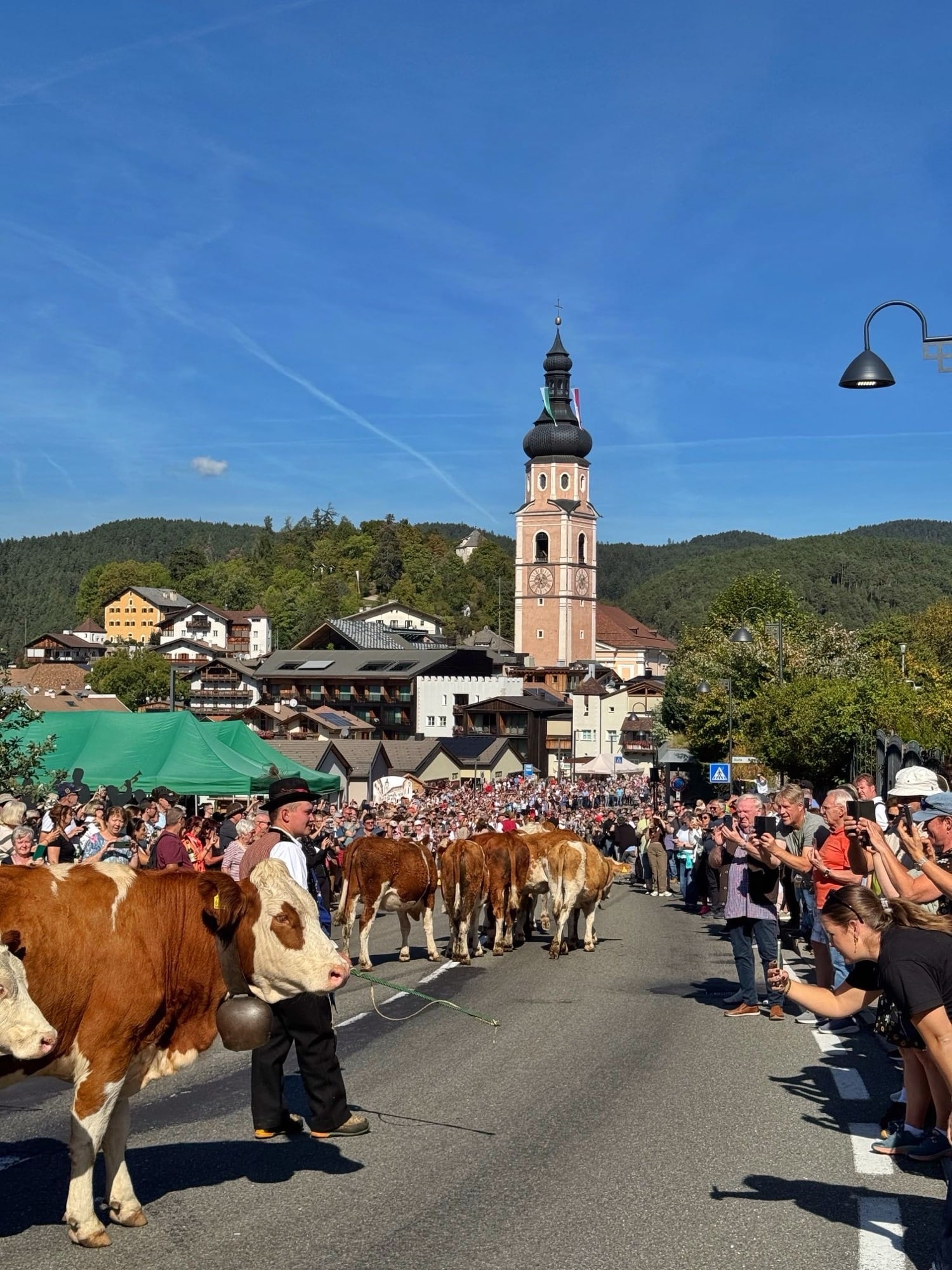 Almabtrieb Kastelruth